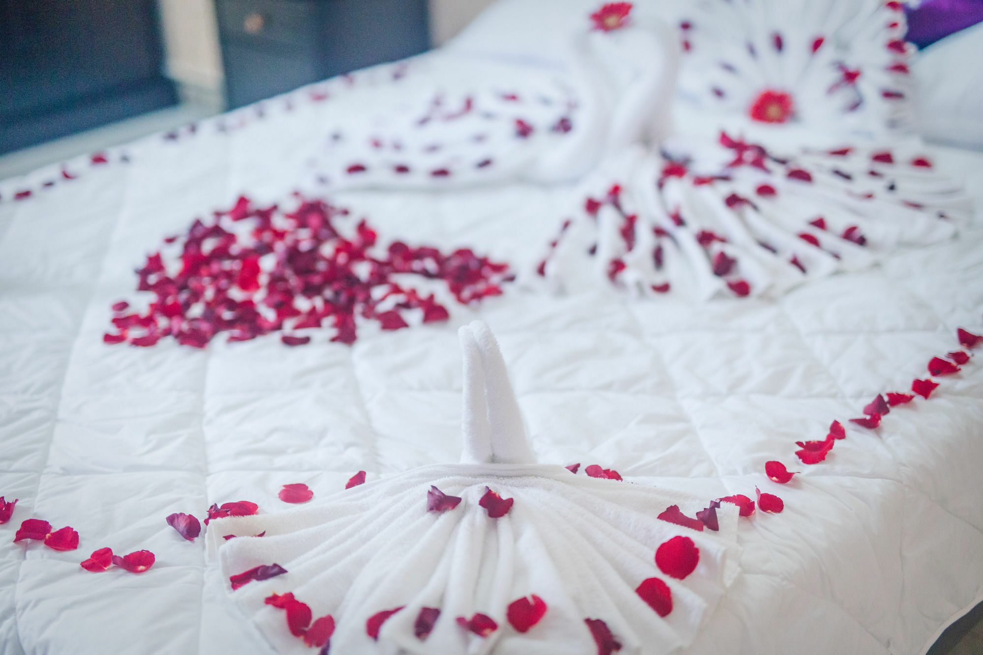 Oyo 117 Gina Hotel Da Nang Dış mekan fotoğraf